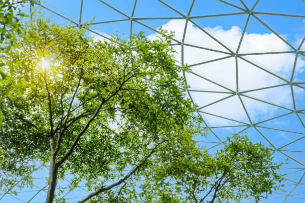 ESG Frameworks & Advisory Image